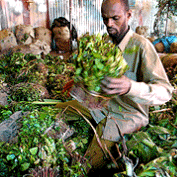 A Somali market trader sells khat
