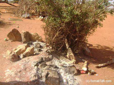 Geed ay cuntada ku hoos karsanayeen ciidamda xabashida